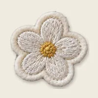 Daisy Flower patch