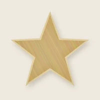 Gold Star patch