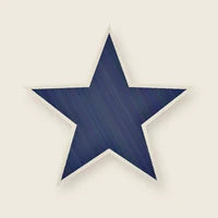 Navy Star patch